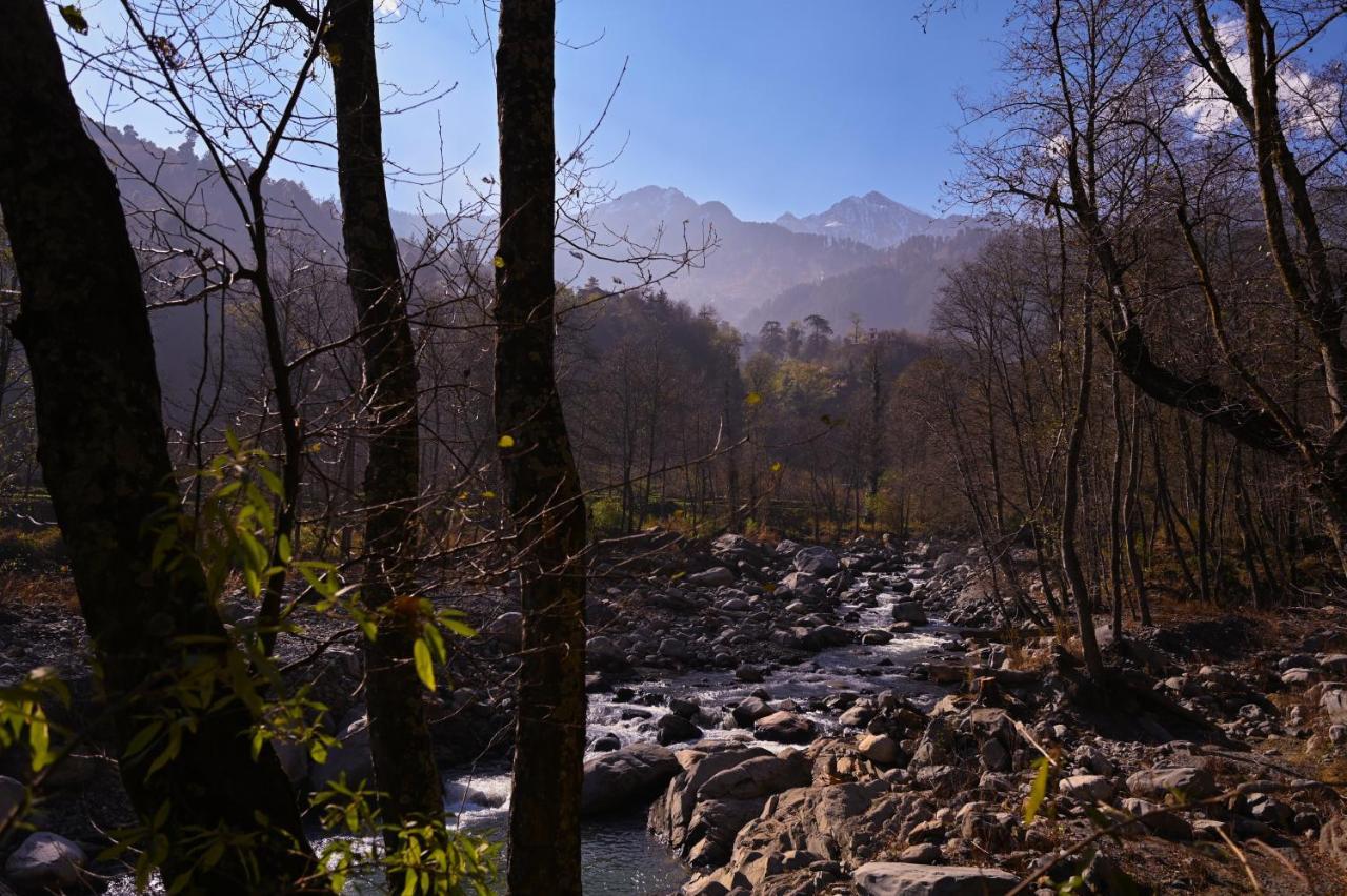 Zostel Dobhi, Manali Hostel Nagar  Buitenkant foto