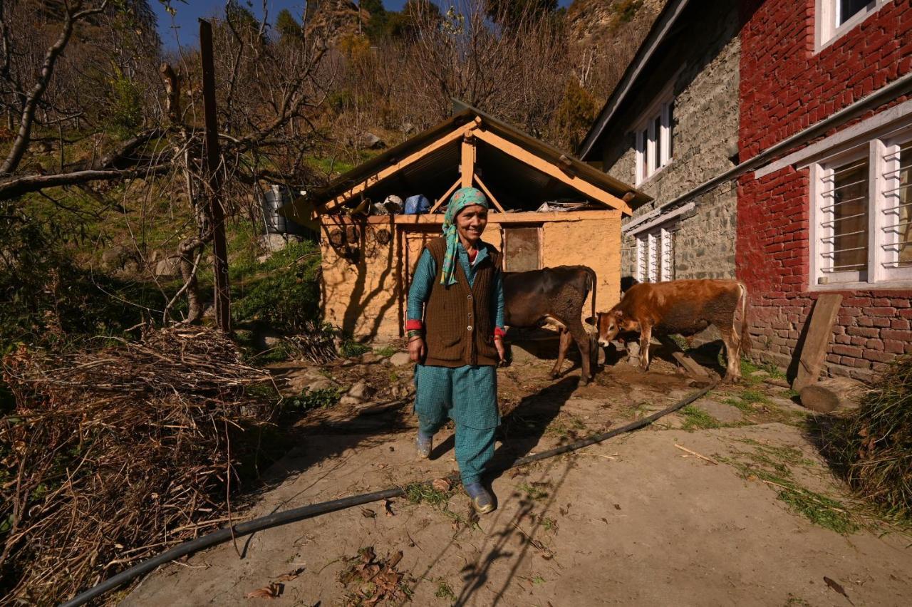 Zostel Dobhi, Manali Hostel Nagar  Buitenkant foto