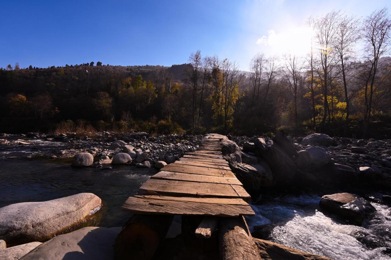 Zostel Dobhi, Manali Hostel Nagar  Buitenkant foto
