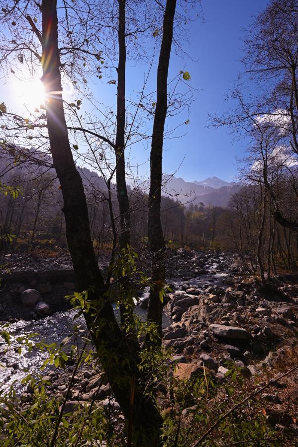 Zostel Dobhi, Manali Hostel Nagar  Buitenkant foto