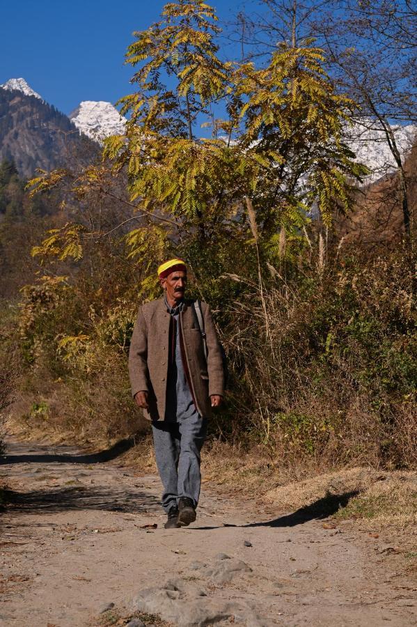 Zostel Dobhi, Manali Hostel Nagar  Buitenkant foto
